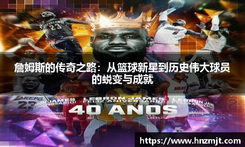 BB贝博登录入口